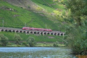D112660 442 203