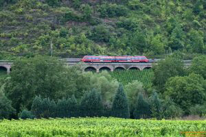 D112703 442 005