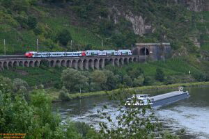D112805 429 615_CFL 2312