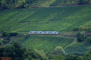 D112876 650 131_132