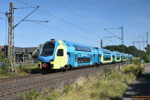 D113010 445 009