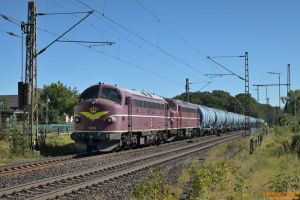 D113060 227 004_009