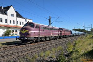 D113062 227 004_009