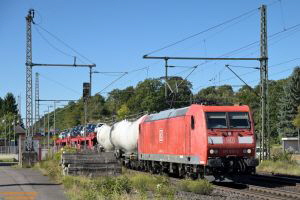 D113073 185 012