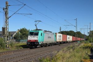 D113104 186 131