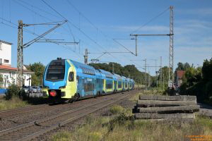 D113124 445 003