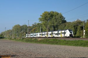 D113153 3464 001
