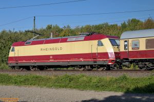 D113157 101 001