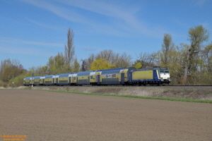 D114031 146 505