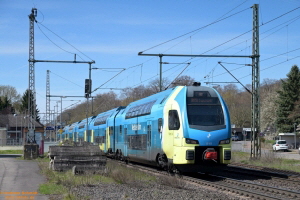 D114063 445 013