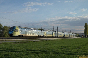 D114131 445 006