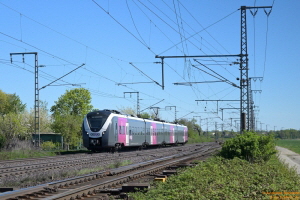 D114175 1440 114