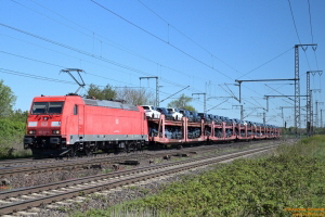 D114198 185 311