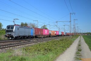 D114256 7193 223