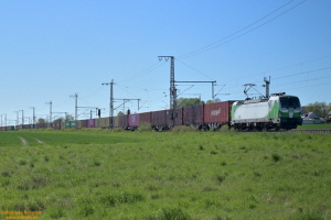 D114284 193 812