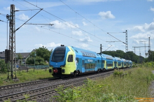 D114529 445 012