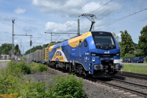 D114533 159 229