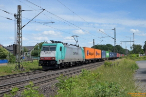 D114544 186 131