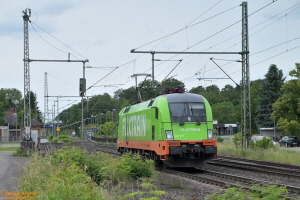 D114566 242 503