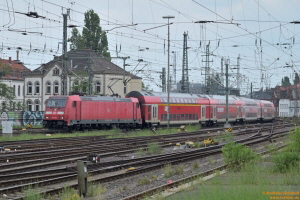 D114631_146 267