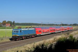 D116356 243 019