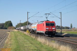 D116425 185 283