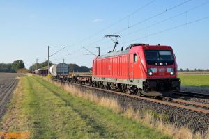 D116464 187 186